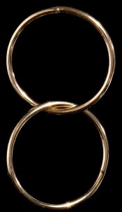 Trendy oorbellen in ring optiek goud